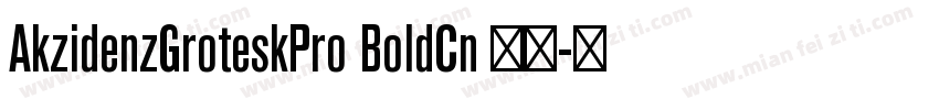 AkzidenzGroteskPro BoldCn 粗体字体转换